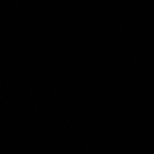 Meet your Posher, Marcella